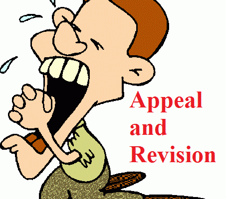 Difference Between Appeal and Revision in Law Terms