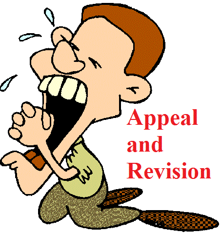 Difference Between Appeal and Revision in Law Terms