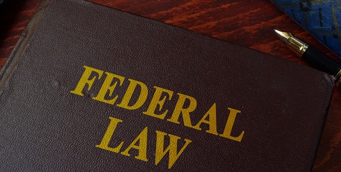 Who Makes Federal Laws, Branches, Types, Examples