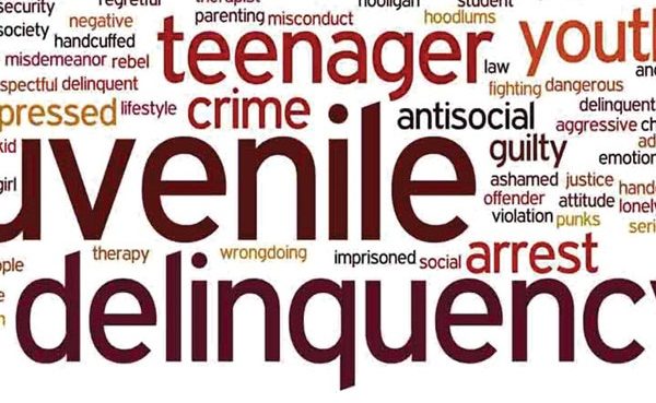 Examples of Juvenile Delinquency, Cauese, Types, Theories