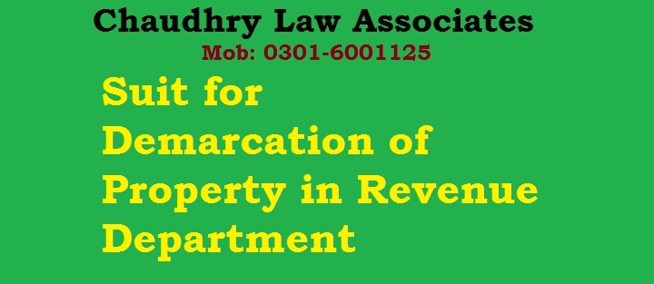 Suit for Demarcation of Property in Revenue Department