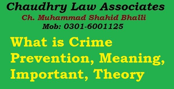 What is Crime Prevention, Meaning, Important, Theory in Law